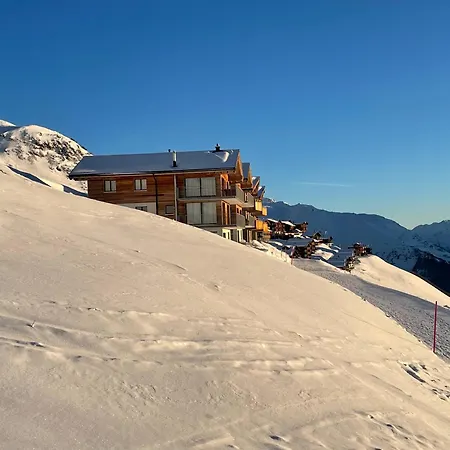 Walliser Stadel Holiday home *