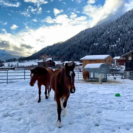 Walliser Stadel Fieschertal