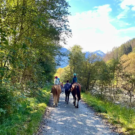 Walliser Stadel * Fieschertal