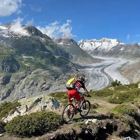 Дом отдыха Walliser Stadel *