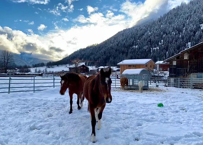 Walliser Stadel Fieschertal
