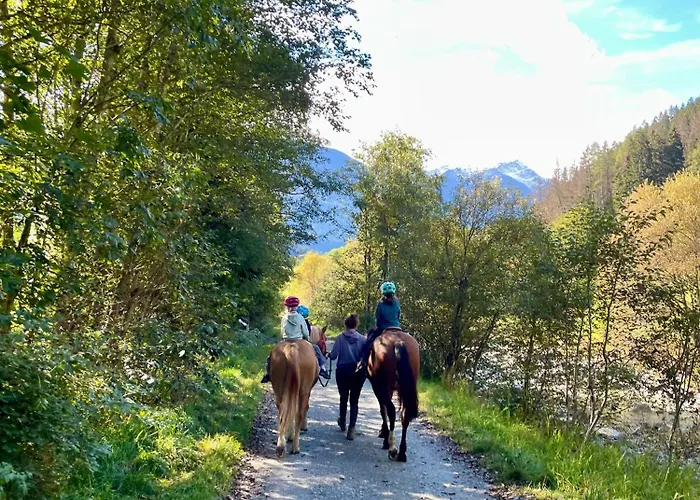 Walliser Stadel * Fieschertal