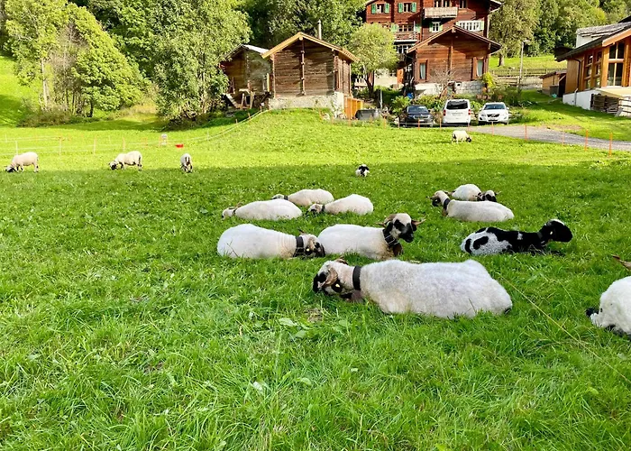 Walliser Stadel Holiday home