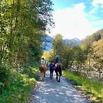 Walliser Stadel * Fieschertal