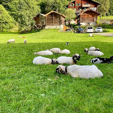 Walliser Stadel Prázdninový dům