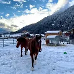 Walliser Stadel Fieschertal
