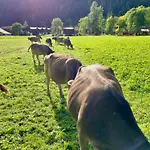 Walliser Stadel *