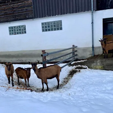 Walliser Stadel Feriehus
