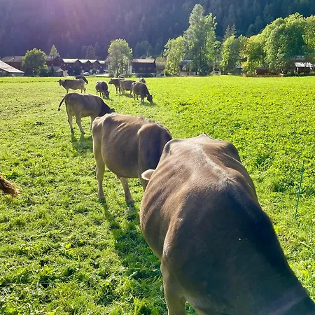 Walliser Stadel *