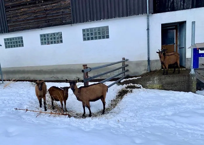 Walliser Stadel Hébergement de vacances