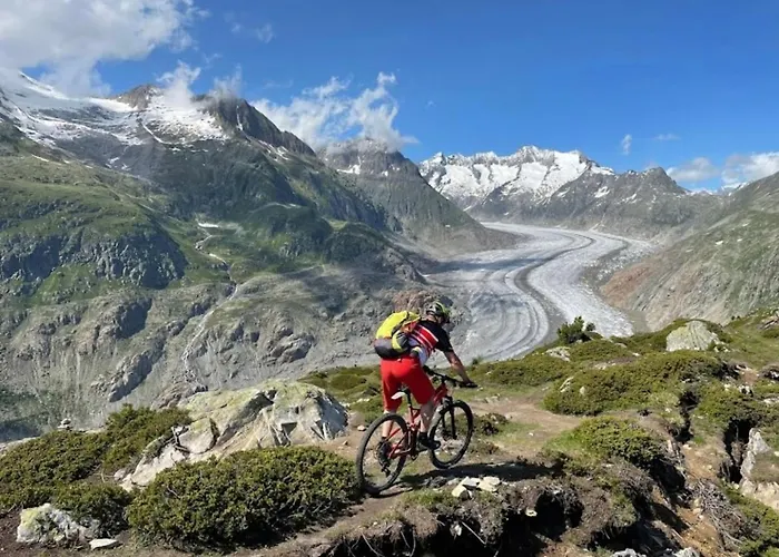 Hébergement de vacances Walliser Stadel *
